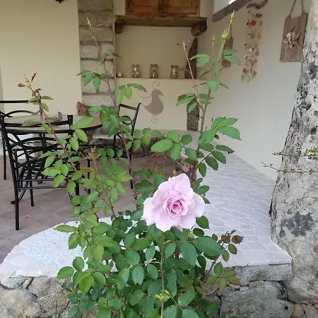 Nonna Pasqualina